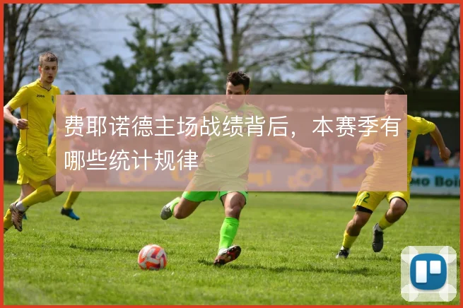 费耶诺德主场战绩背后，本赛季有哪些统计规律