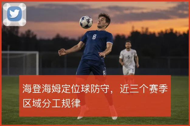 海登海姆定位球防守,近三个赛季区域分工规律